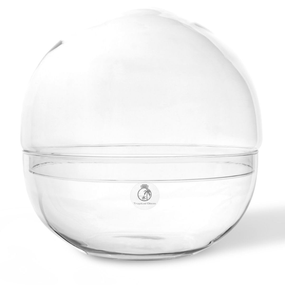 27cm Glass Globe Terrarium Container for Tropical Plants, Moss, Ferns, Ficus Bonsai, Spherical Vase for Fairy Garden - Indoor Plant Ecosystem, Landscape Container for Plant Arrangements, Closed Jar
