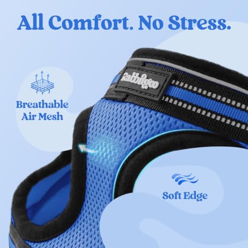Image of rabbitgoo Cat Harness and Leash Set, Step-in Soft Vest, Blue | Escape Proof, Lightweight, Easy-on & Adjustable, Hook & Loop with Buckle, Reflective, for Small Cats Walks, XL