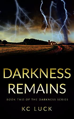 Darkness Remains (The Darkness Series Book 2)