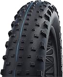 schwalbe fat albert review Plegable Schwalbe Jumbo Jim HS 466 SG-Pneumatico, Unisex-Adult, Nero, 26 pollici