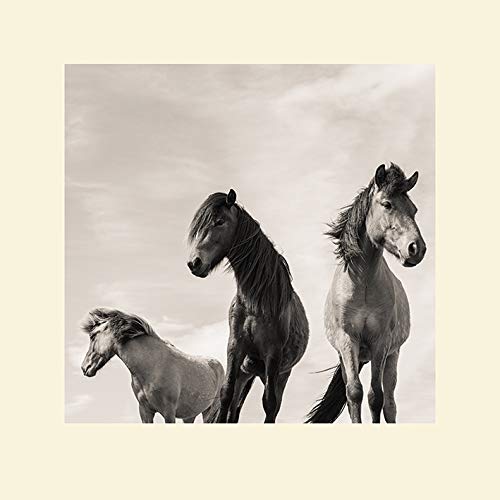 Carys Jones The Three Amigos Mounted Prints, Multicolour, 40 x 40cm