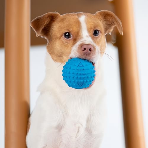 Image of Best Pet Supplies Interactive Squeaky Dog Chew Toy, Ideal Dog Toys for Chewers, Small, Medium & Large Dogs, and Fetch Lovers - Spiky Ball (Blue, Orange), Medium 2.5 inch