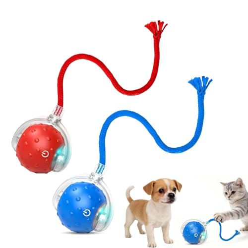 2PCS Tiny Fetch Interactive Dog Cat Toy Ball - 360 Automatic Scrolling with Birdsong Fast Moving Balls Toys for Pets Smart Obstacle Avoidance Rechargeable Boredom Buster for Pets (Blue+Red)