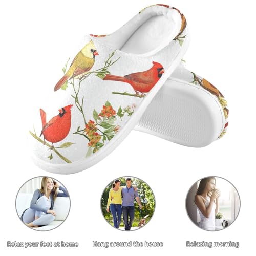 Funny Northern Red Birds White Women Cotton Slippers Closed Toe Memory Foam Home Slippers for Hospital Funny Presents 6-73