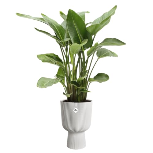 Pot de fleur Elho Vibes Fold Coupe 30 x B 29.5 x H 45 cm Intérieur 100% recyclé - vue 5