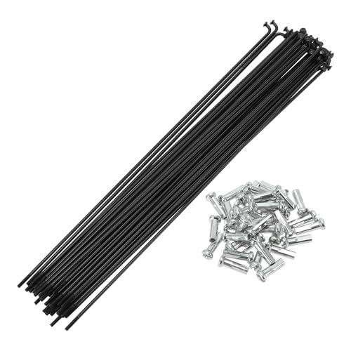 Motoforti jo[T]ԃX|[N]ԃzC[X|[N14G 227mmYf|ubN1Zbg