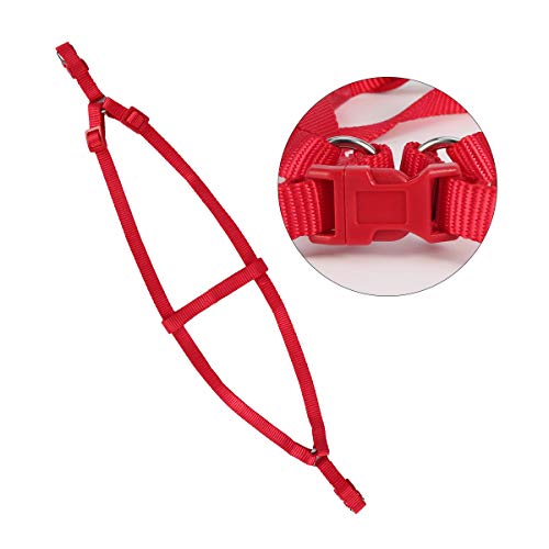 Yuehuam Guinzaglio volante per pappagalli, 120 cm