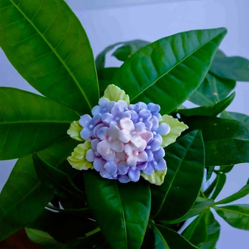Imán decorativo de cerámica Hydrangea morado 3D miniatura 4