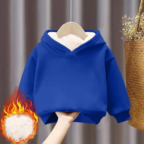 Unisex Boys Girls Fleece Lined Sherpa Hoodie Kids Warm Winter Hoodies Pullover Hooded Sweatshirt Sweater 1-12Y2