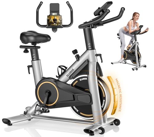 Heimtrainer Fahrrad mit APP, SLUNSE HCD-Monitor, Leises Magnetisch Spinning...
