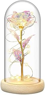 Irona Beauty and the Beast Rose in Glass Dome With LED Lights Everlasting Crystal Rose Flowers Gift Enchanted Forever Rose Birthday Gift for Anniversary Valentines Mother's Day Wedding Girlfriend