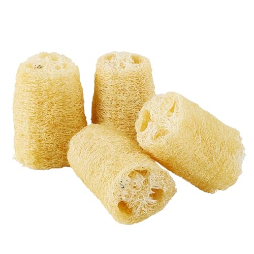 Generico Giochi da mordere in luffa naturale per piccoli animali, confezione da 4, intrattenimento per conigli e porcellini d’, snack ricchi di fibre, stimolazione interattiva, cura dei denti