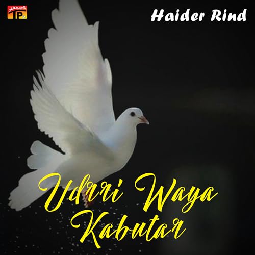 Udrri Waya Kabutar von Haider Rind bei Amazon Music - Amazon.de