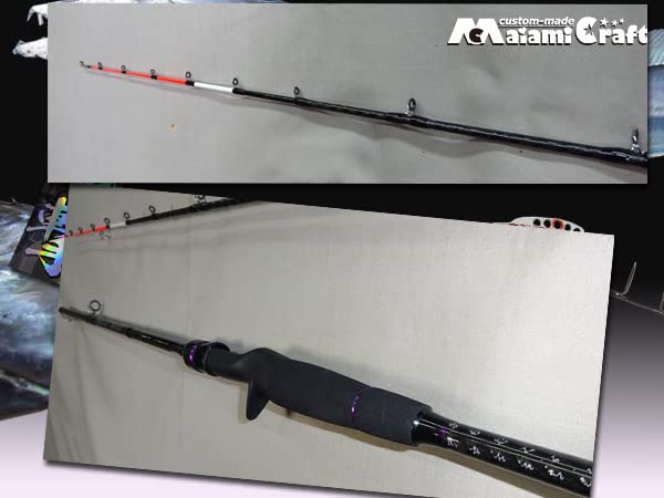 Amazon | 限定2本 高感度ソリッドトップ テンヤタチウオ 完全攻略 高