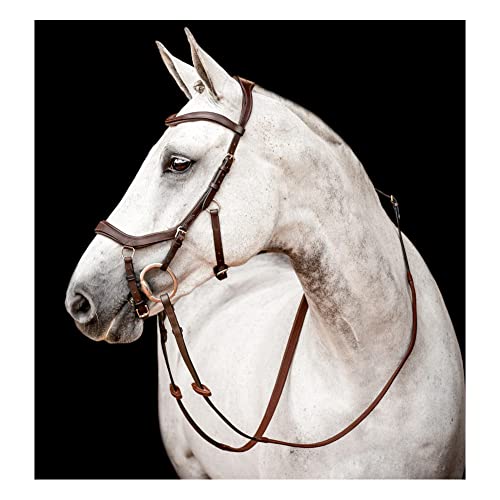 Filet Horseware Micklem Compbridle Dark Havana contre les pressions faciales