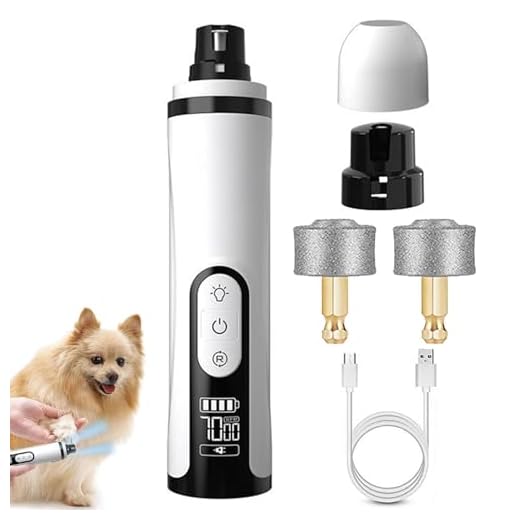 Silent Groom Pro Nail Grinder with LED