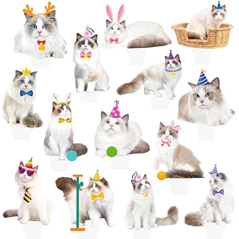 Ragdoll Cat Party Cupcake Toppers 48pcs Ragdoll Cat Birthday Party Decorations Kitten Pet Cupcake Toppers Cover