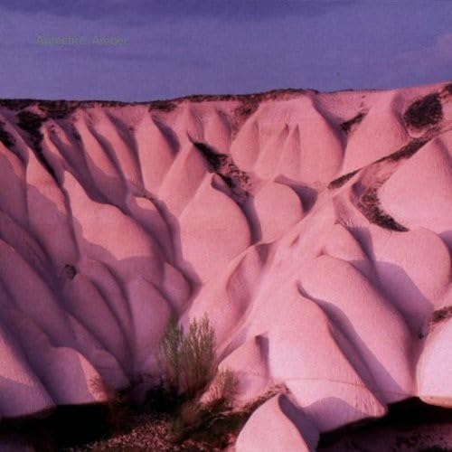 Amber Amazon.de MusikCDs & Vinyl