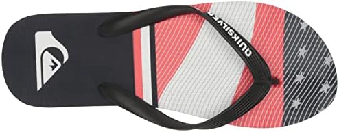 Quiksilver Men's Molokai 4Th 3 Point Sandal Flip-Flop, Blue 1, 11 | Image 4