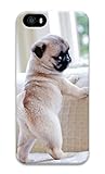 iphone 5 hard case ebay Bunt und modisch iPhone 5 Fall, iphone 5s fall, personalisieren Süßer Mops Schutzhülle Hard PC 3D Case Cover [kratzfest] Bumper Schutzhülle für Apple iPhone 5 5S