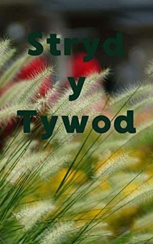 Stryd y Tywod (Welsh Edition)