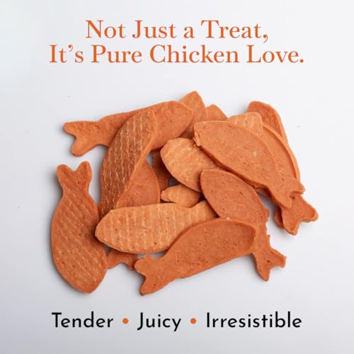 Image of PETS EMPIRE O'Dog Fish Shape Salmon Fillet, Healthy Dog Treats, Chewy Dogs Bites for Training and Feeding, Made with Real Salmon, Non-Vegetarian Pup Snacks for Dogs, Puppies - 100g