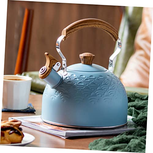 Organiseur bleu 19x19x23cm étagère dressing