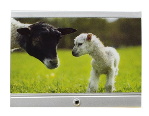 Lundby 60.2055.00 - Smaland: Televisore per casa