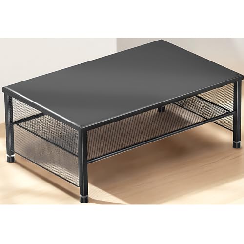 ECOLOVI 2-Tier Computer Monitor Stand Riser, Desk Organizer for Monitor, Printer & Laptop Stand...