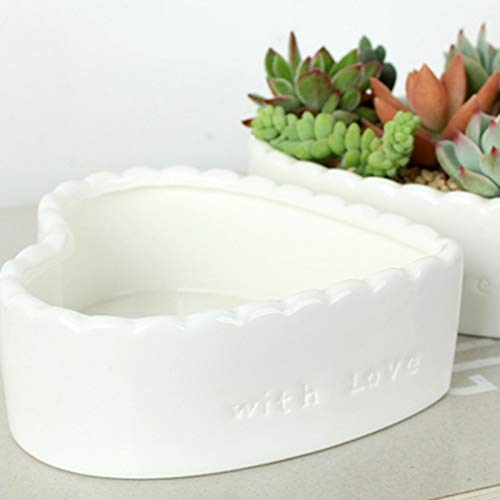 JHNIF 2 Stück herzförmige reinweiße Keramik-Kaktus-Sukkulenten-Blumentöpfe.