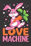 Love machine: Cute Bunny Rabbit Lovers Gift Funny Notebook., Goals, Reminders, Notes, Organizer,To Do List
