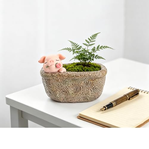 Youfui Home Decor Pot Succulent Planter Flowerpot Decor for Home Office Desk (Rose Pig)