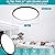 Glowall Modern 24" Led Ceiling Light Fixture, Ultra Thin Flush Mount, 56W, Dimmable with Remote Control, 5600 Lumen, Black, for Home Office, Dining Room, Kitchen, Bedroom, Living Room