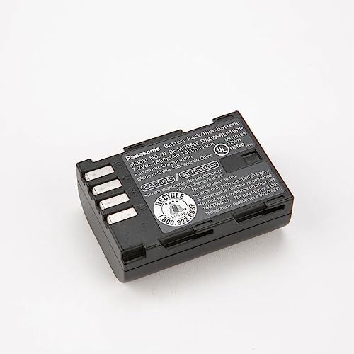 Panasonic DMW-BLF19 Lithium-Ion Battery Pack (Black) - image 2