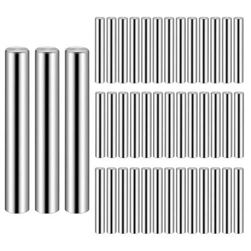 42 Pz Supporto per Mensola, Pioli Reggimensola Legno Vetro, Perni per Mensole in Acciaio Inox, Perni Cilindrici per Mensole, Staffe per Mensole Ripiani Armadio Supporti per Mensole (6 x 40 mm)