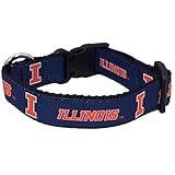 Collar de perro universitario (mediano, Illinois)