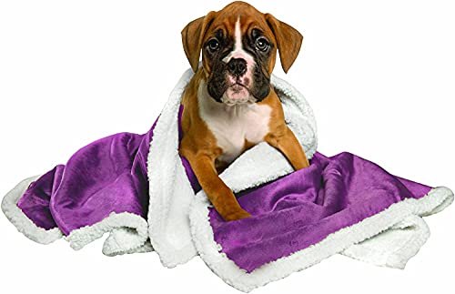 Image of Petslover Blanket for Dogs Cats, Warm Flannel Plush Pet Bed Blanket Reversible Purpal (XL)
