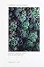 Earthly Encounters: Sensation, Feminist Theory, and the Anthropocene (SUNY series in Gender Theory)