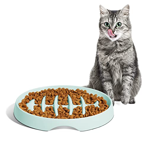 MSBC Hh~ M L ybg{E H ybgH 얞h~ a  ~ ^ X[t[h{E ~ (FishiO[j)