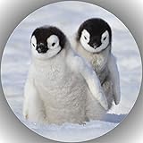 Fondant Tortenaufleger Tortenbild Geburtstag Pinguine L16