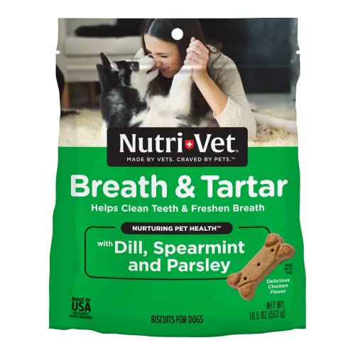 Picture of 10 Dental-Friendly Dog Foods That'll Keep Your Puppy's Teeth Sparkling ...