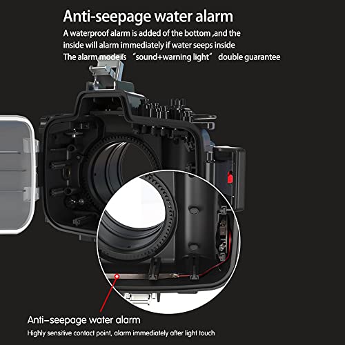 Ficha técnica Sea frogs Carcasa de cámara subacuática compatible con Canon EOS 5D Mark IV de 24-105 mm IPX8 40 m profundidad máxima de buceo impermeable para buceo surf remo - Fernando Cortés Ficha técnica Sea frogs Carcasa de cámara subacuática compatible con Canon EOS 5D Mark IV de 24-105 mm IPX8 40 m profundidad máxima de buceo impermeable para buceo surf remo - Fernando Cortés