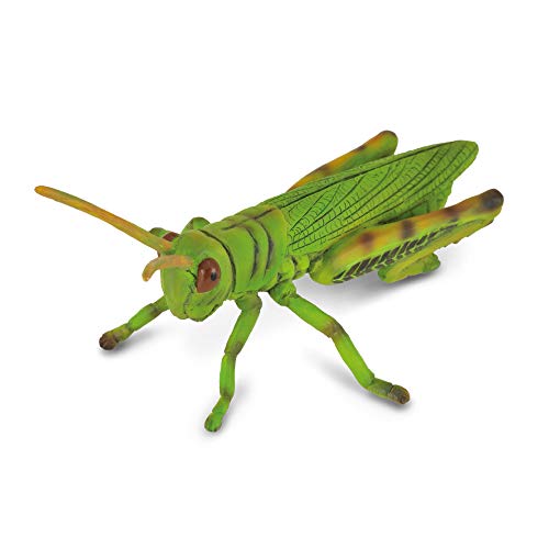Collecta - Saltamontes -M- 88352 (90188352)