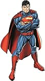 12 Inch Superman Decal DC Comics Justice League Repositionable Removable Peel Self Stick Wall Sticker Art Home Decor (Decoration for Walls Laptop Tumbler Boys/Girls Room) 6 by 11 1/2 inch