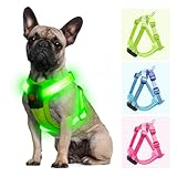 Visiklit Light Up Dog Harness for Small Dogs Rechargeable, LED Dog Vest Harness, Adjustable Illuminated Glow in Dark Dog Harness for Puppy Night Safety Walking 360° True Illumination-Green