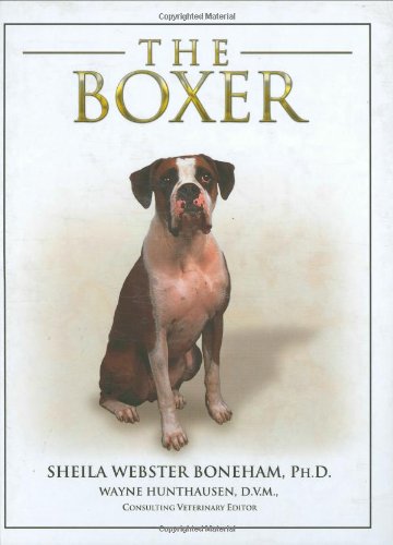 The Boxer
