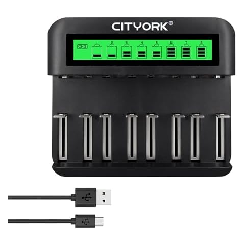 CITYORK Universal Battery Charger with LCD Display Cover