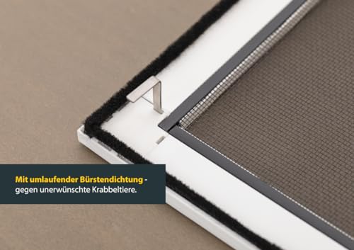 Schellenberg 70030 Insektenschutz Fenster Plus, Fliegengitter Fenster mit Alurahmen, Montage ohne bohren, 100 x 120 cm, Weiß