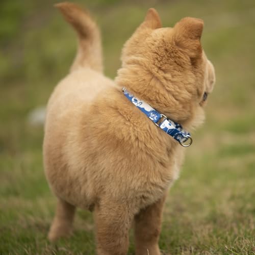 Hyhug Hundehalsband für Welpen und kleine Hunde – Verstellbares Nylon-Halsband mit Weichem Komfort & Strapazierfähigkeit (XXS, Wolkenhund)