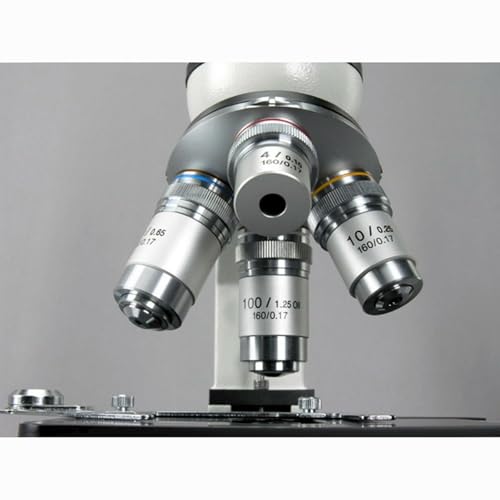 Image of AmScope M600B Compound Monocular Microscope, WF10x and WF20x Eyepieces, 40x-2000x Magnification, Brightfield, Tungsten Illumination, Abbe Condenser, Mechanical Stage, 110V